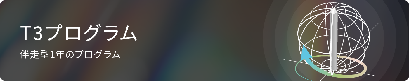 T3プログラム